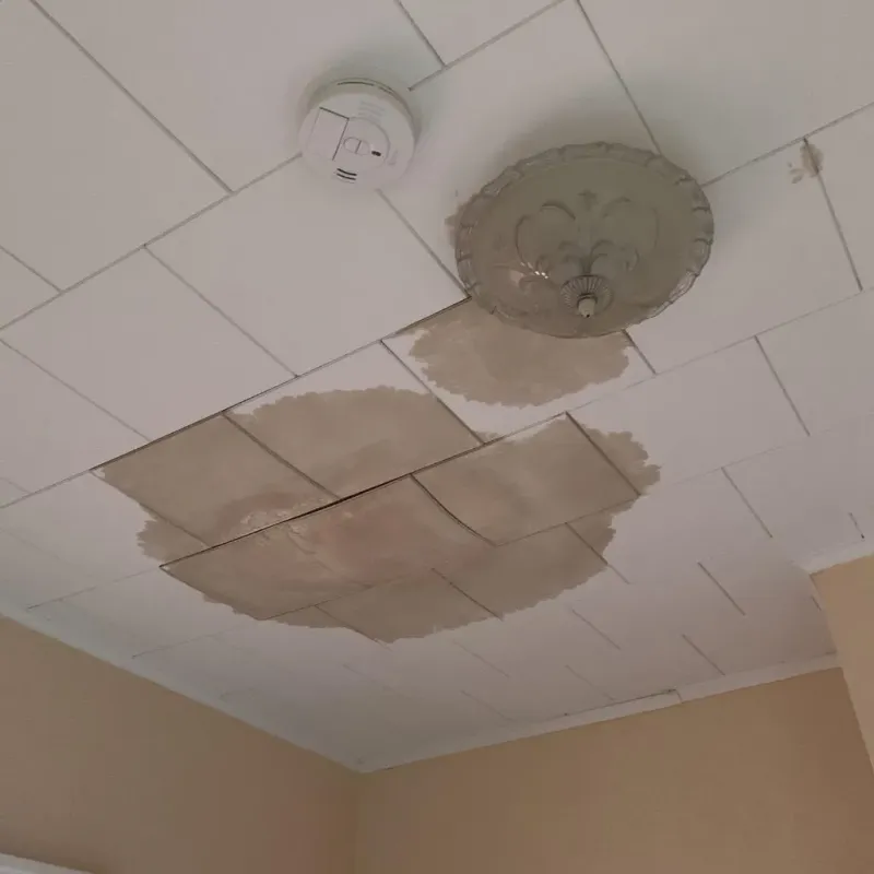 Ceiling Water Damage Repair in Wood-Lynne, NJ